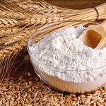 طب سنتی حیات علوی