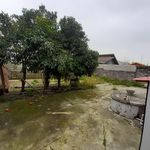 اجاره ویلا بابایی