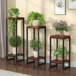 گل گلدان  استند و شلف ثامن