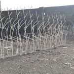 حفاظ شاخ گوزنی  استار حفاظ
