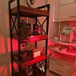 مرکز زیبایی  لیزر و لاغری و طب سنتی ونسا