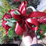 گل فروشی رز