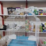 پت شاپ رامکال