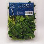 سبزیجات آماده گشنیز (تبریز)