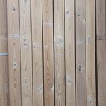 فروش چوب روسی