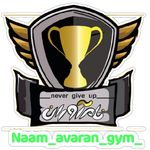 مجموعه ورزشی نام آوران