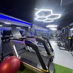 باشگاه بدنسازی بانوان لئو (پونک)
