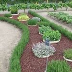 خدمات باغبانی هرس کاری صاحبدل