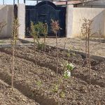 املاک خانه معمار