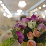 تالار مجلل قصر امیران