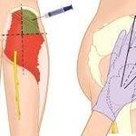 فرشتگان احیاء سلامت پاسارگاد