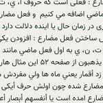 معلم و مدرس عربی خانم محمدزاده