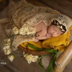 آتلیه عکاسی مهروماه