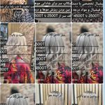 خدمات تخصصی مو رنگ و لایت و فشیال بیگی