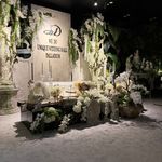 خانه عقد WE DO (دفتر رسمی ازدواج ۳۷۴)