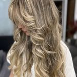 رنگ و لایت درنا