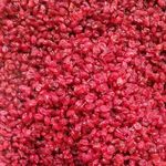 آجیل خراسان