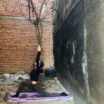 مربی یوگا ولی زاده