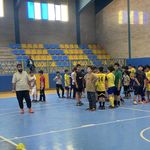 اکادمی هندبال همیار