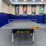 آکادمی پینگ پنگ آرپ