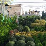 خدمات باغبانی گلکاری محمدی