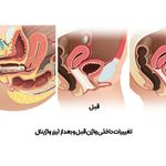 دکتر زنان و مامایی آسمان