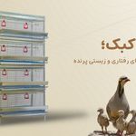 آشیونه ،تولید کننده انواع قفس پرورش طیور