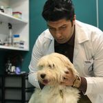 کلینیک دامپزشکی و پت شاپ گیلانا