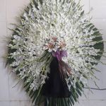 گل فروشی دنیز آنلاین (شعبه 2)