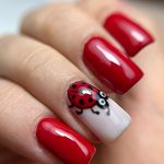 آرایشگاه زنانه إلماه