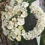 گل فروشی آندیا (شعبه یک)
