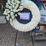 گل فروشی دنیز (آنلاین) -ارسال فوری