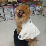 پت شاپ سزار