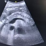 مرکز تصویربرداری فرزانه دیده بان