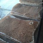 نانوایی لواش دهقانیان