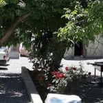 کمپ طلوع حیات پاک البرز