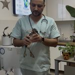 کلینیک دامپزشکی دکتر حمید داودی نیا