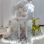 بادکنک آرایی صابری