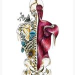 فیزیوتراپی و ماساژ گودرزی