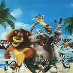 انواع پرده ازخود تولیدکننده فاتکس غفاری