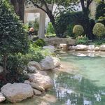 طراحی و احداث و نگهداری فضای سبز