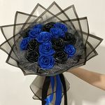 گل روبانی دریا