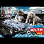 کارواش بزرگ ونک قم