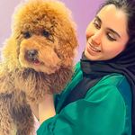 کلینیک دامپزشکی مرکزی(دکتر مریم حیدرلو)
