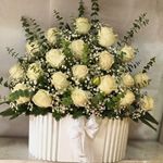 گلسرای آمالیس