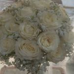 گلفروشی سی تو (ارسال رایگان)