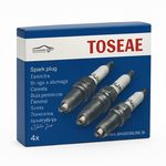 تولیدکننده شمع خودرو توسعه