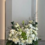 کافه گل الینا