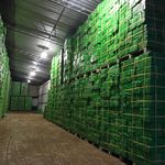 خدمات کشاورزی سبزپویان پردیس