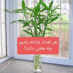دهکده گل آیریس کرج